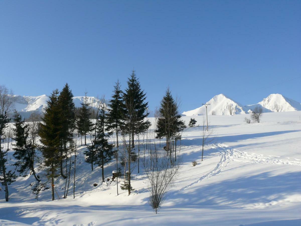 Hostal Goralská obora Ždiar Exterior foto
